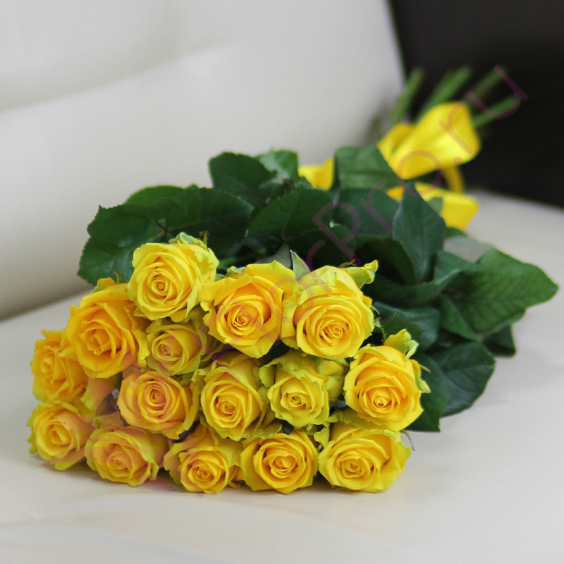 15 желтых роз Пени Лейн 60 см, стандартный