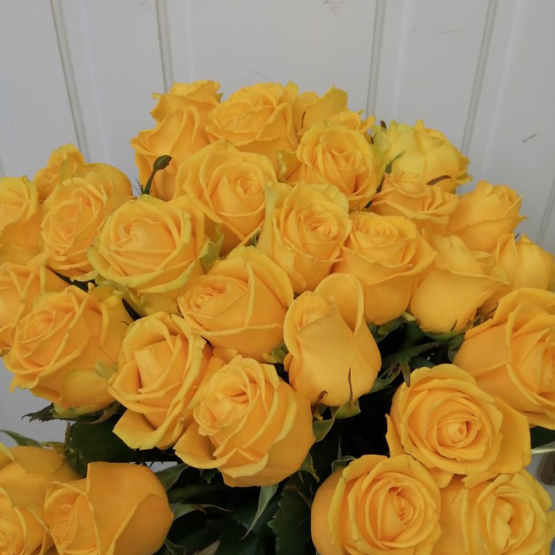 Bouquet of 35 yellow roses, standart