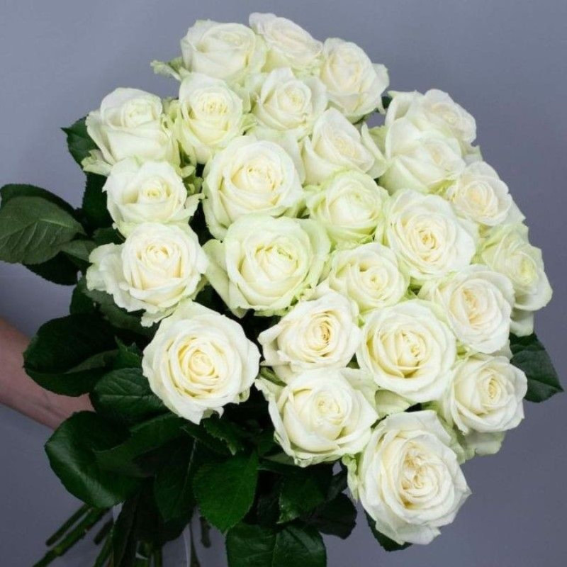 Белые розы 25 штук, стандартный