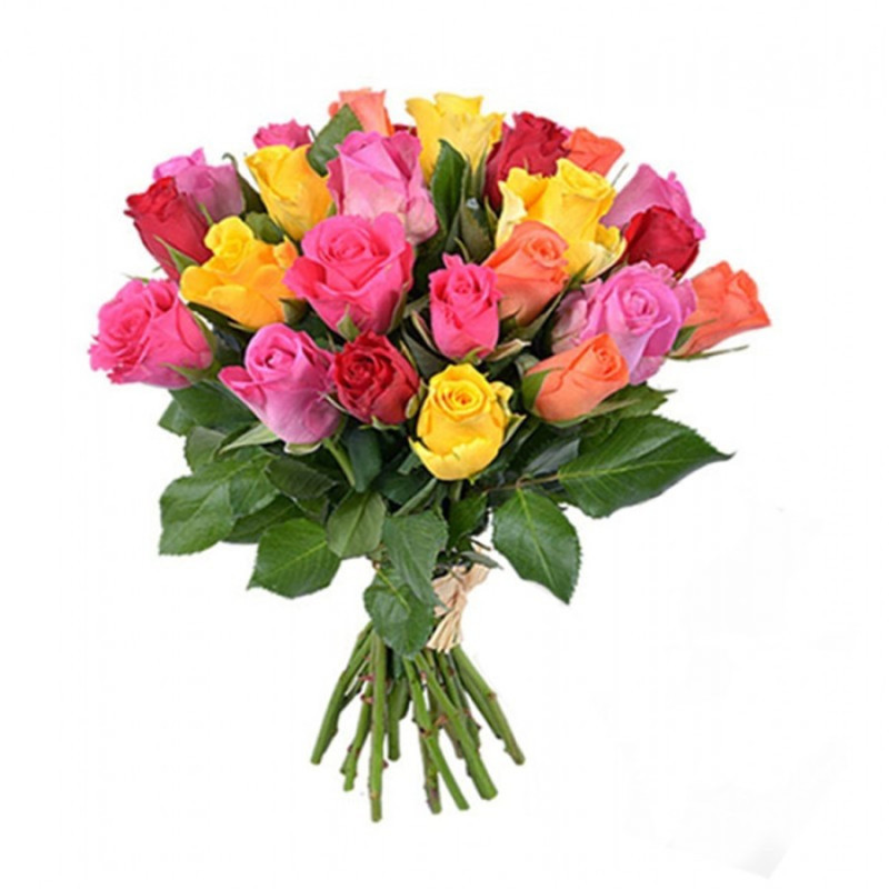 25 multi-colored roses, standart