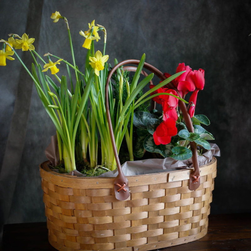 Bouquet “Spring Basket”, standart