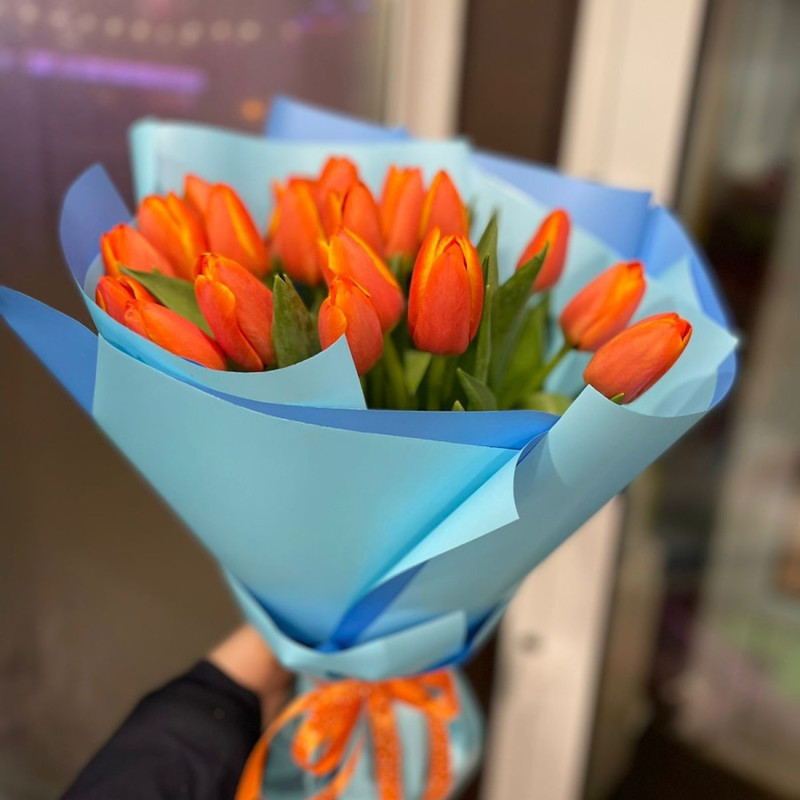 orange tulips, standart