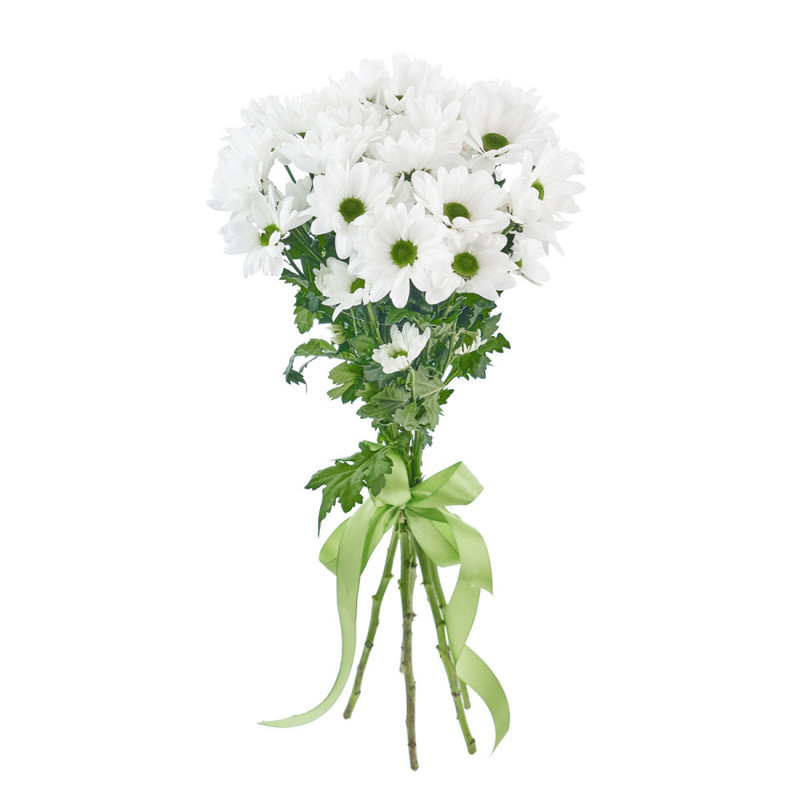 Bouquet of 5 white spray chrysanthemums, standart