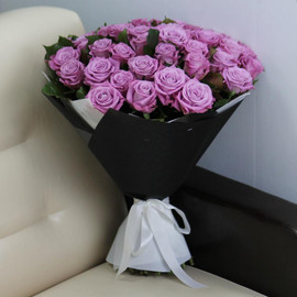 51 фиолетовая роза Маритим 60 см в упаковке