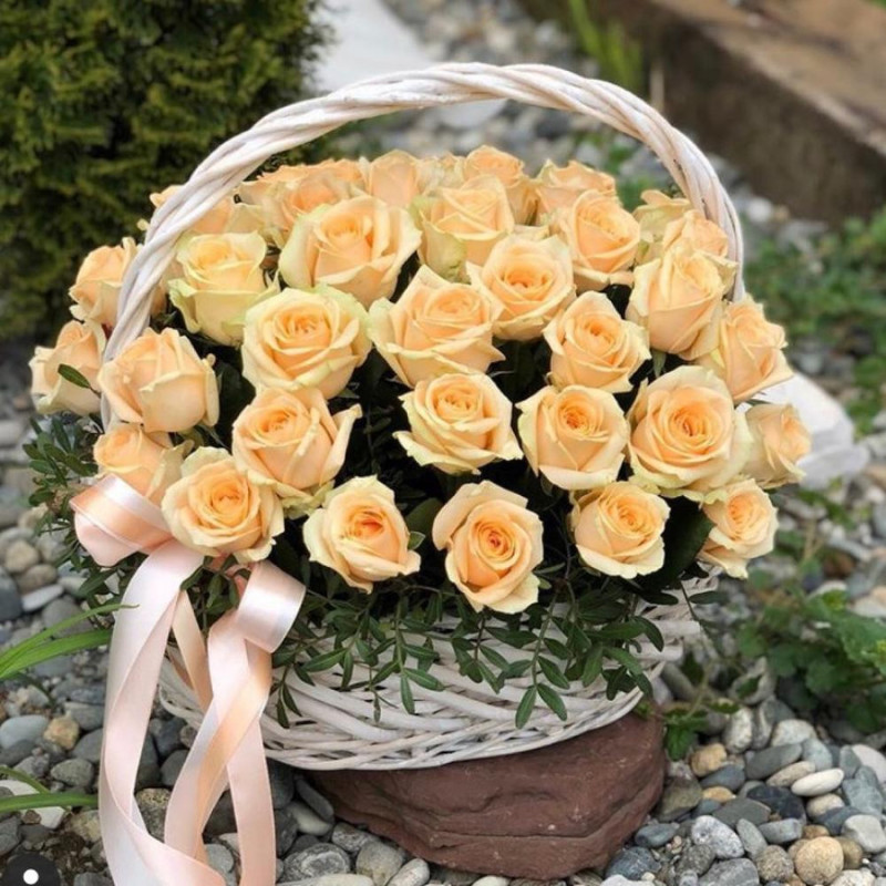 Basket of 65 cream roses, standart