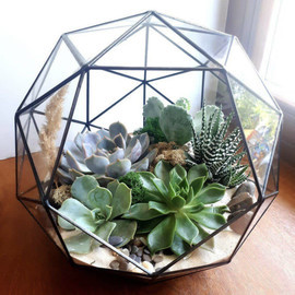 Florarium ball geometric