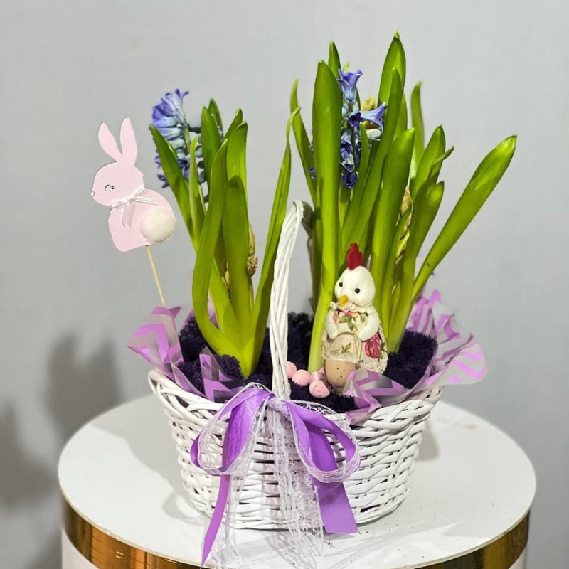 Easter gift kozina with hyacinths, standart