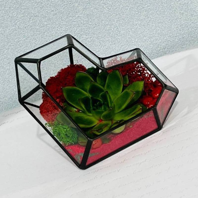 Mini garden in the shape of a heart with plants, standart
