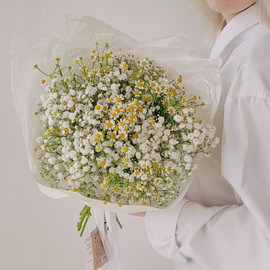 Bouquet of gypsophila and daisies