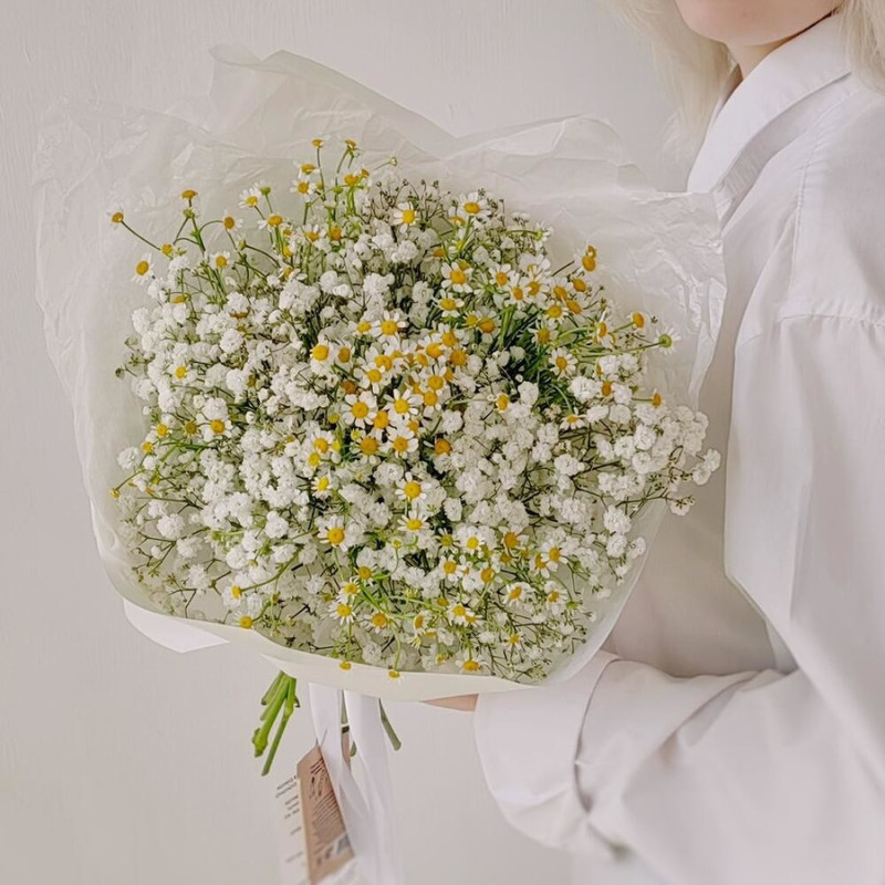 Bouquet of gypsophila and daisies, standart