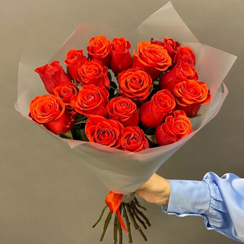 Bouquet of 19 scarlet roses PREMIUM 50 cm, standart