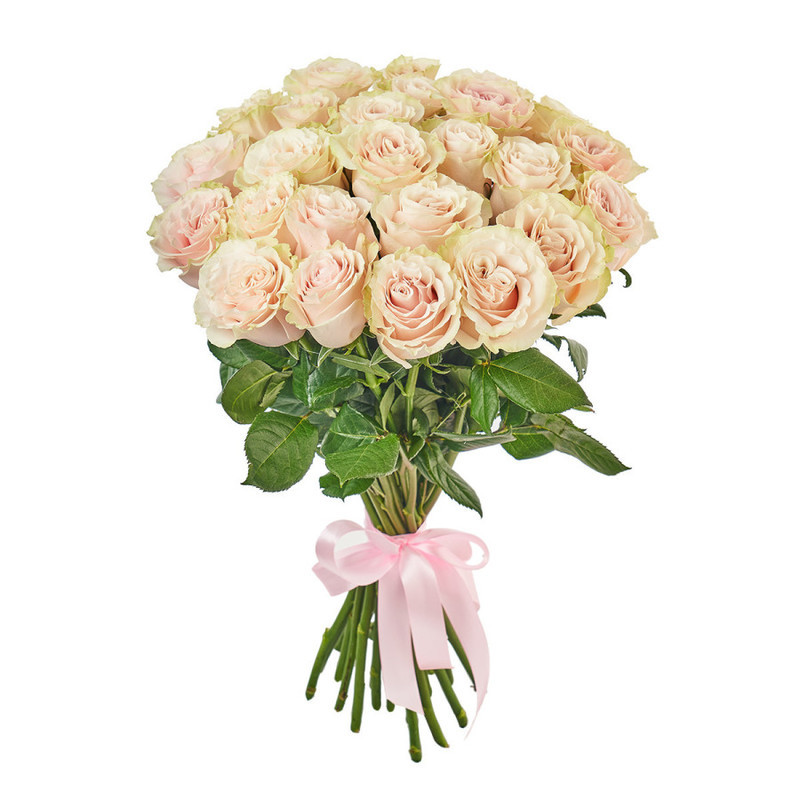 Bouquet of 25 pale pink roses, standart