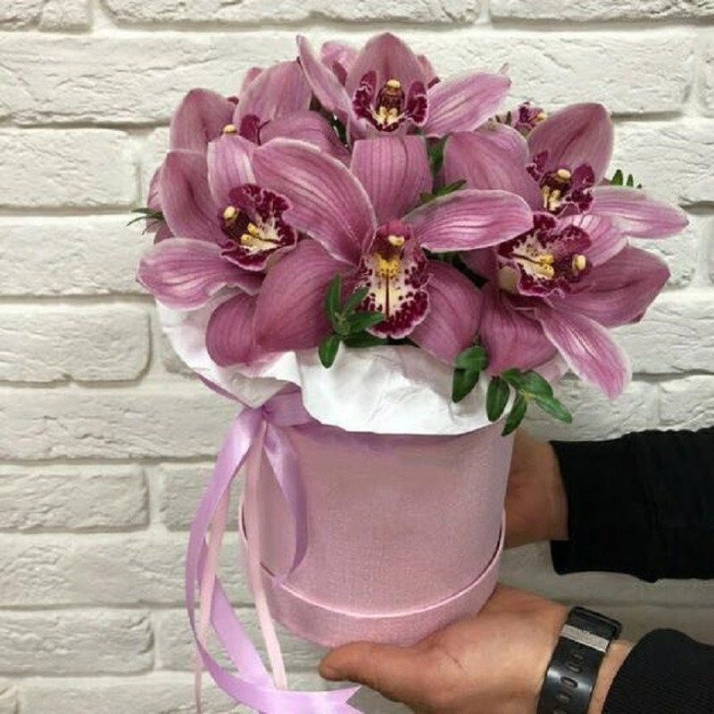 Box with orchid, standart