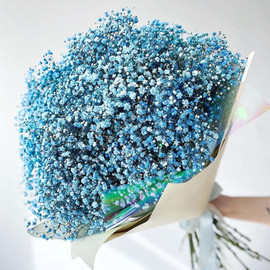 Bouquet with blue gypsophila