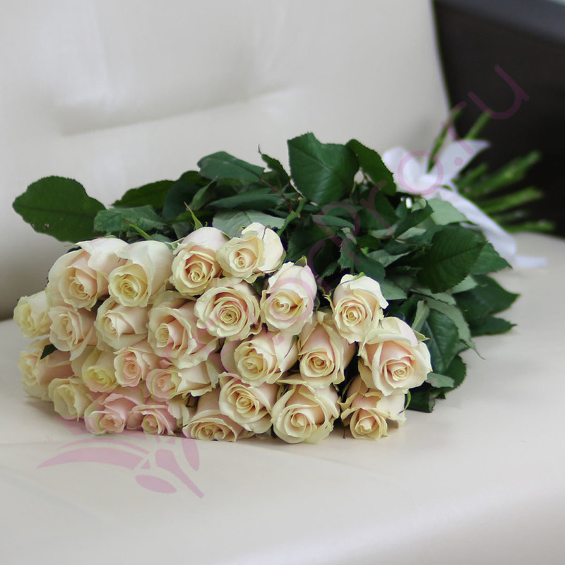 25 кремовых роз Талея 60 см, стандартный