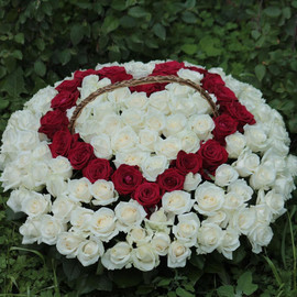 151 roses in a heart-shaped basket