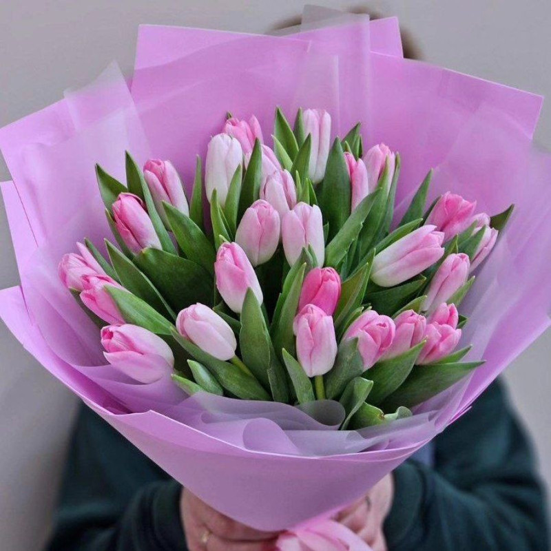 25 pink tulips, standart