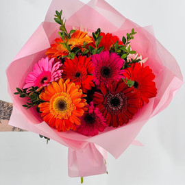 Bouquet of colorful geberas
