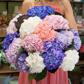 Bouquet of flowers "Favorite hydrangeas"