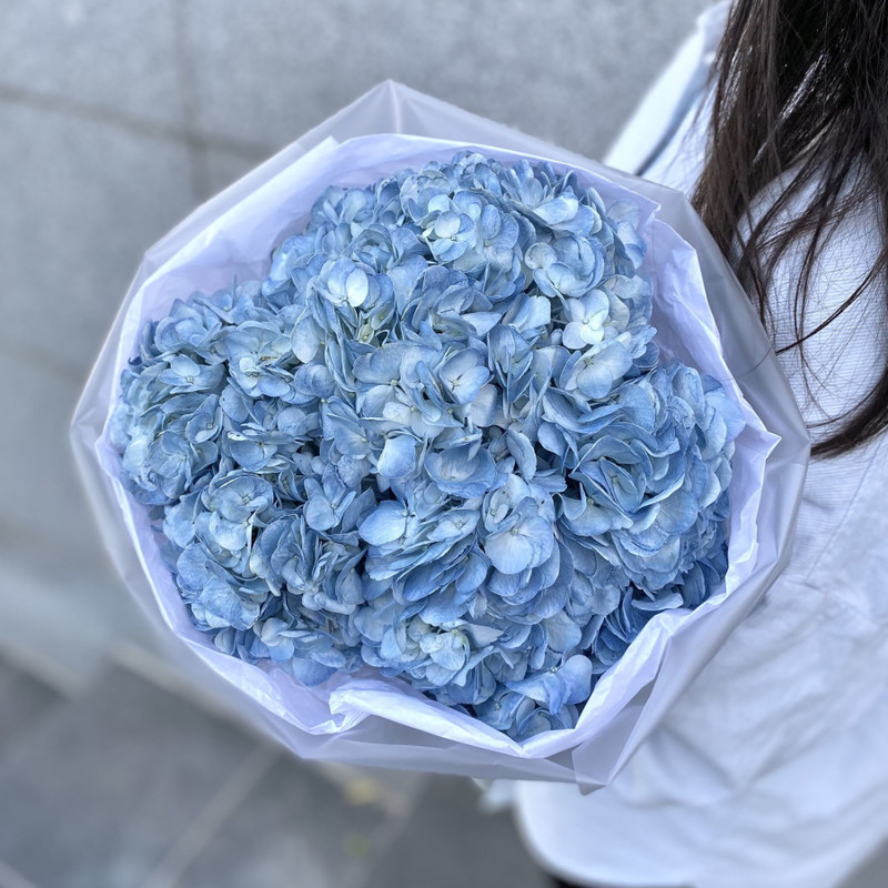 Bouquet of 3 blue hydrangeas, standart