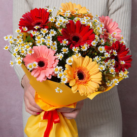 bouquet of gerberas and small daisies