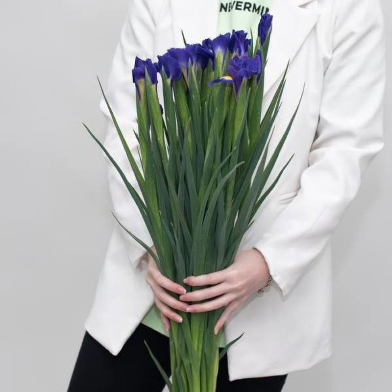 Irises, standart