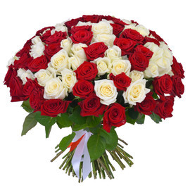 101 красно-белая роза 50 см