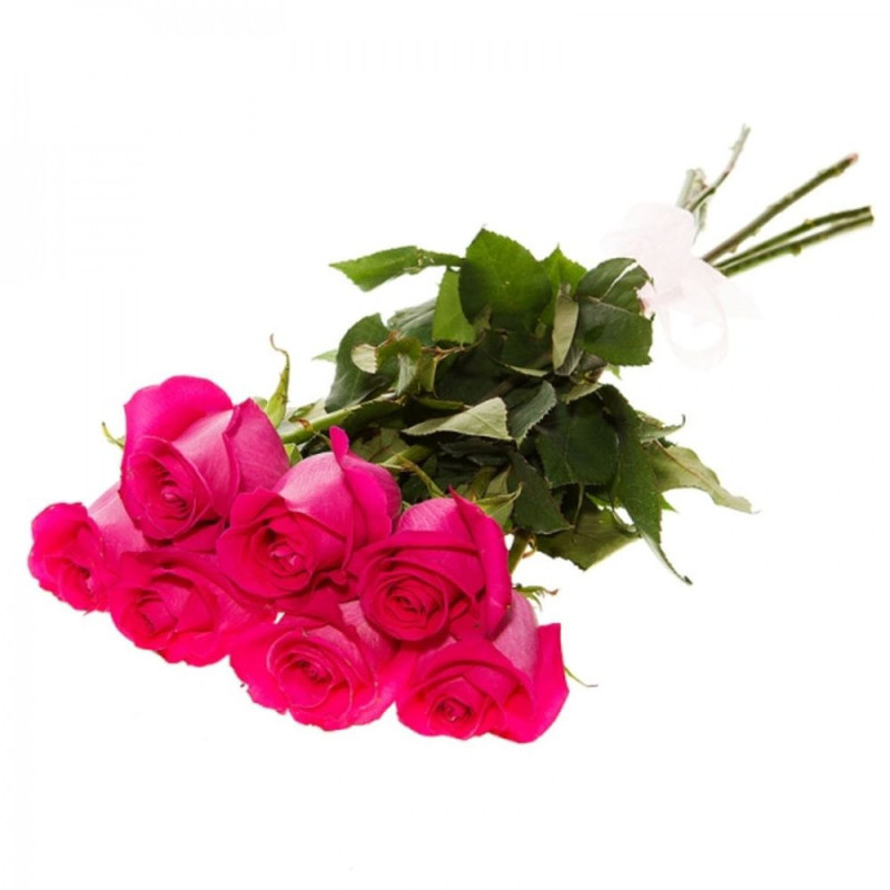 Bouquet of 7 Roses Pink Panther 50 cm, standart