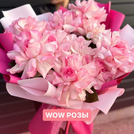 WOW Roses