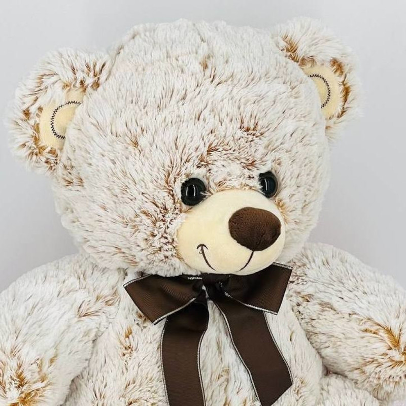 60 sales teddy bear