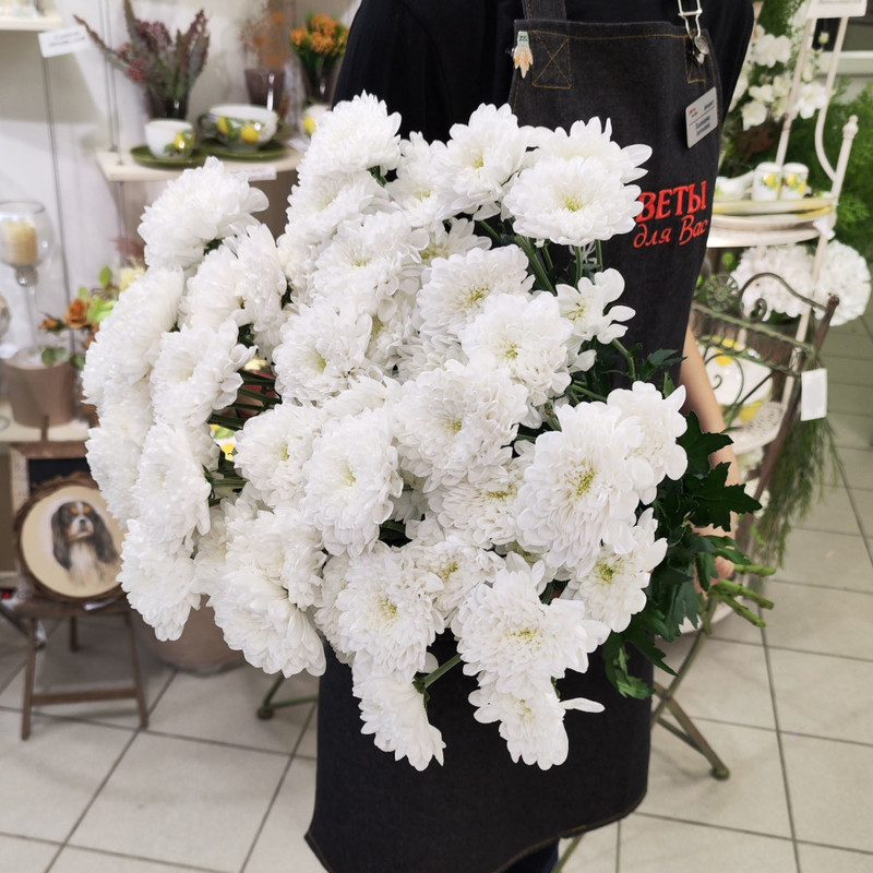 Bouquet of 11 white spray chrysanthemums, standart