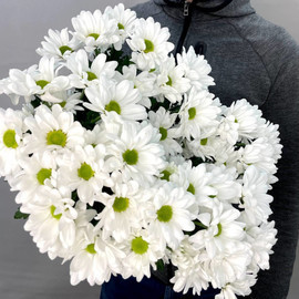 Bouquet of 5 spray chrysanthemums