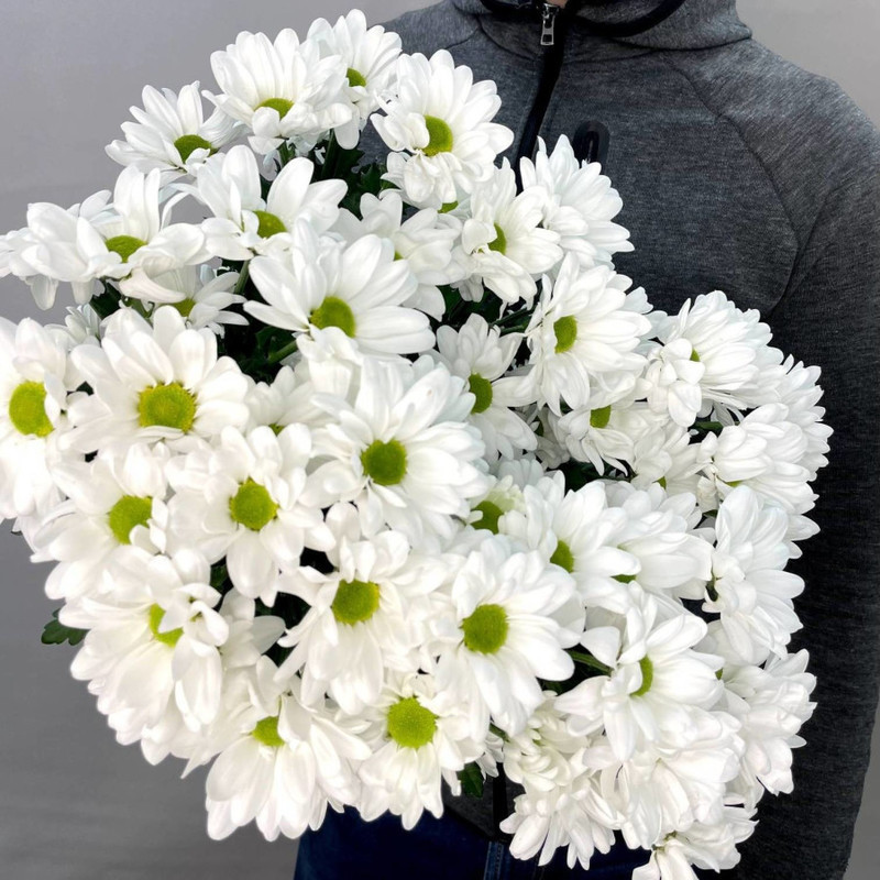 Bouquet of 5 spray chrysanthemums, standart