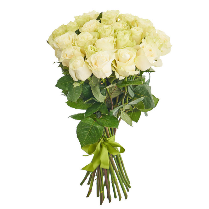 Букет из 25 белых эквадорских роз, стандартный