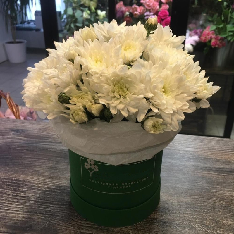 Box with chrysanthemums, standart