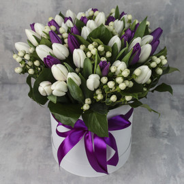 Коробка из 51 тюльпана «Белые и фиолетовые тюльпаны с гиперикумом»