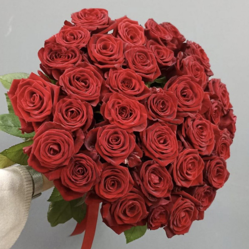 35 ruby roses, standart