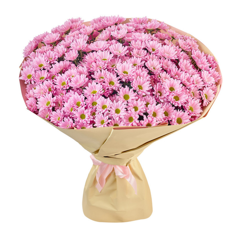 Bouquet of 25 pink chamomile chrysanthemums in a package, standart