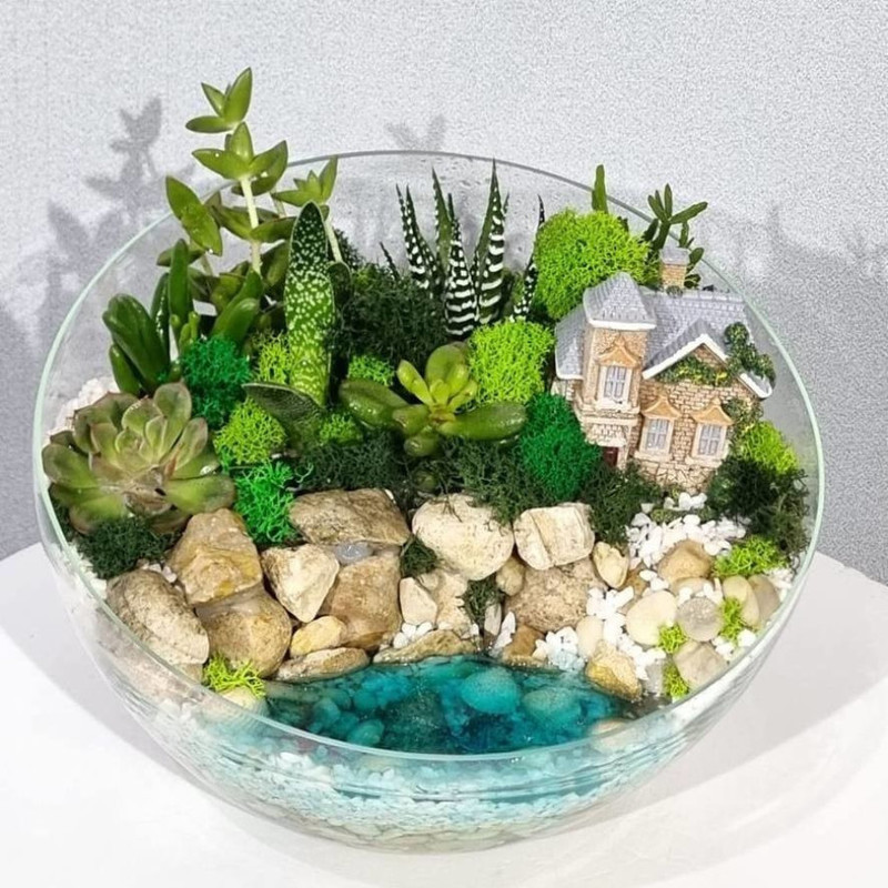 Флорариум с растениями "Дом на берегу моря", стандартный