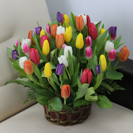 Корзина из 51 тюльпана «Разноцветные»