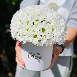 Bouquet of daisies for birthday