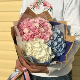 Bouquet hydrangea mix