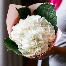 bouquet and hydrangeas
