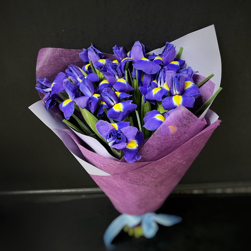 Bouquet of 15 irises per pack (code 17), standart
