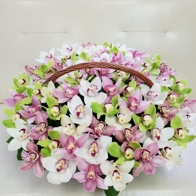 Basket with cymbidium orchid, standart