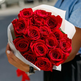15 красных роз в упаковке 50 см