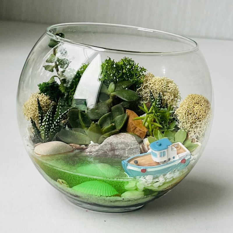 Florarium with succulents and a pond, standart