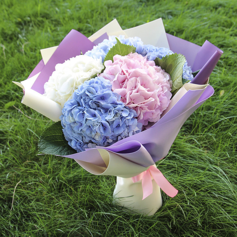 Bouquet of 5 hydrangeas "Hydrangeas mix", standart
