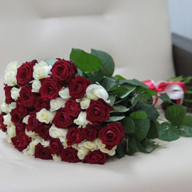 51 red and white roses 60 cm