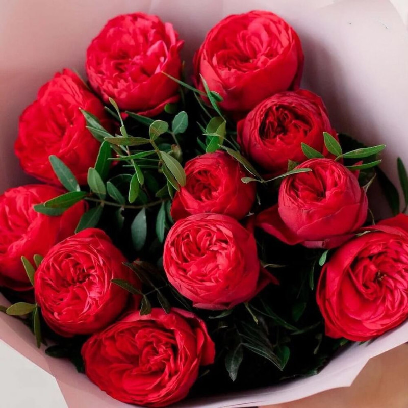 Волшебные пионовидные кустовые розы бордового цвета, стандартный